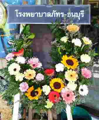 K008 – รุจิกร